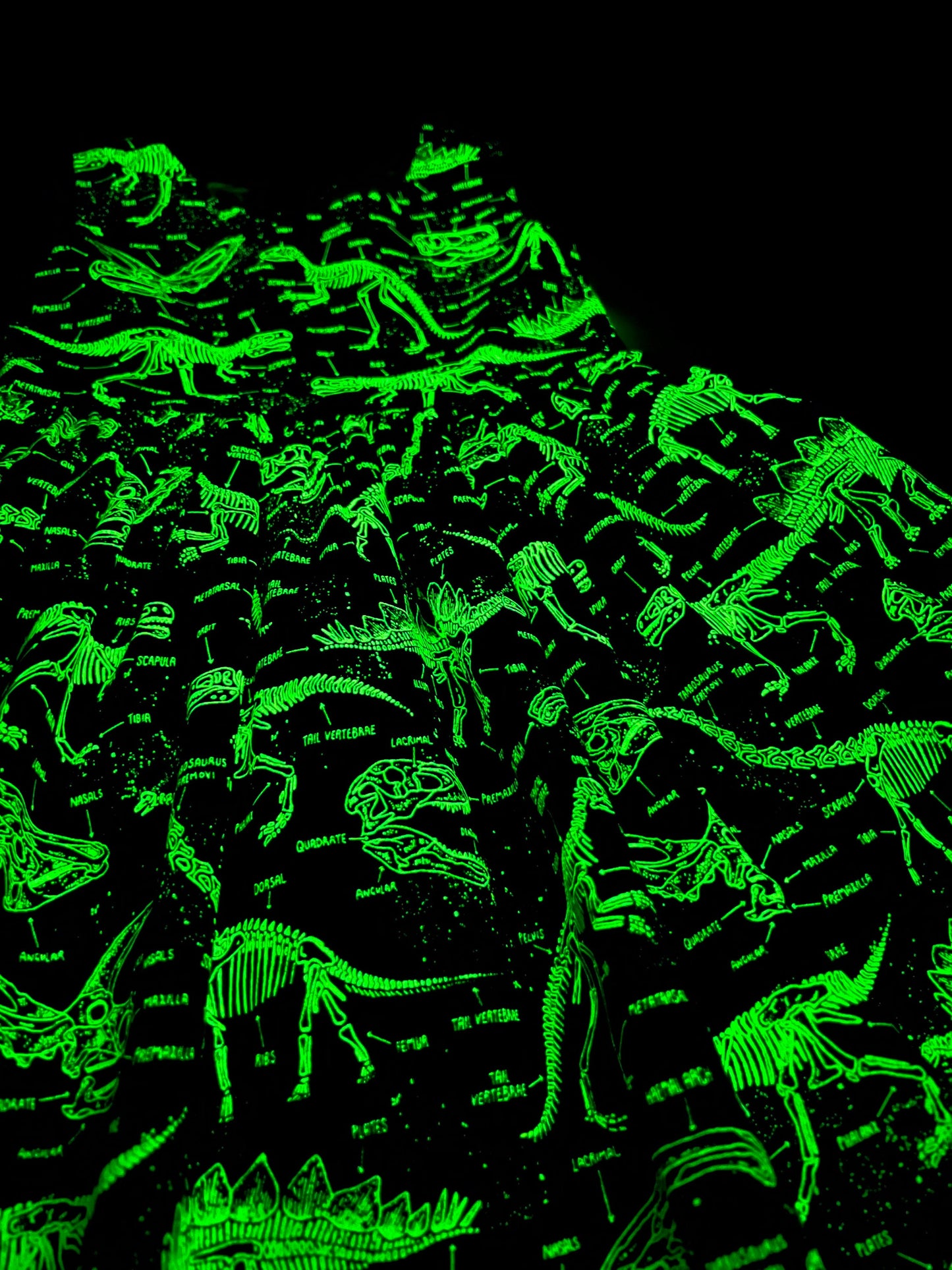 Glow in the Dark Girls Dinosaur Dress