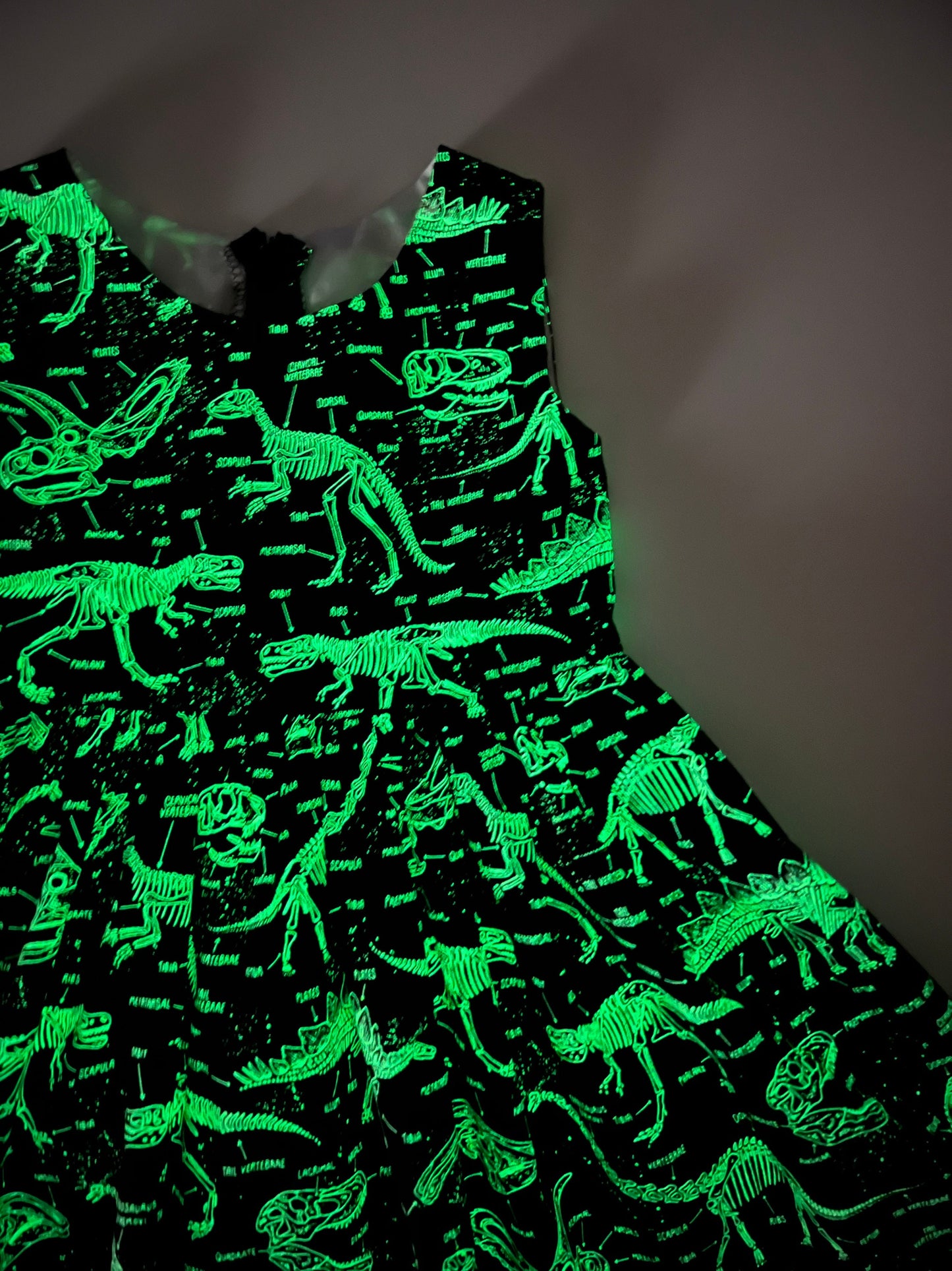 Glow in the Dark Girls Dinosaur Dress