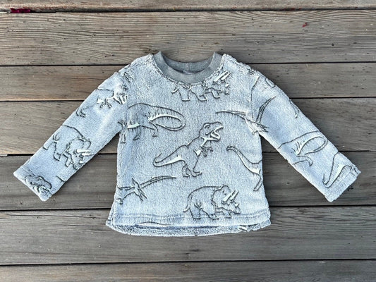 Glow In the Dark Dinosaur Sweatshirt