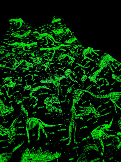 Glow in the Dark Girls Dinosaur Dress