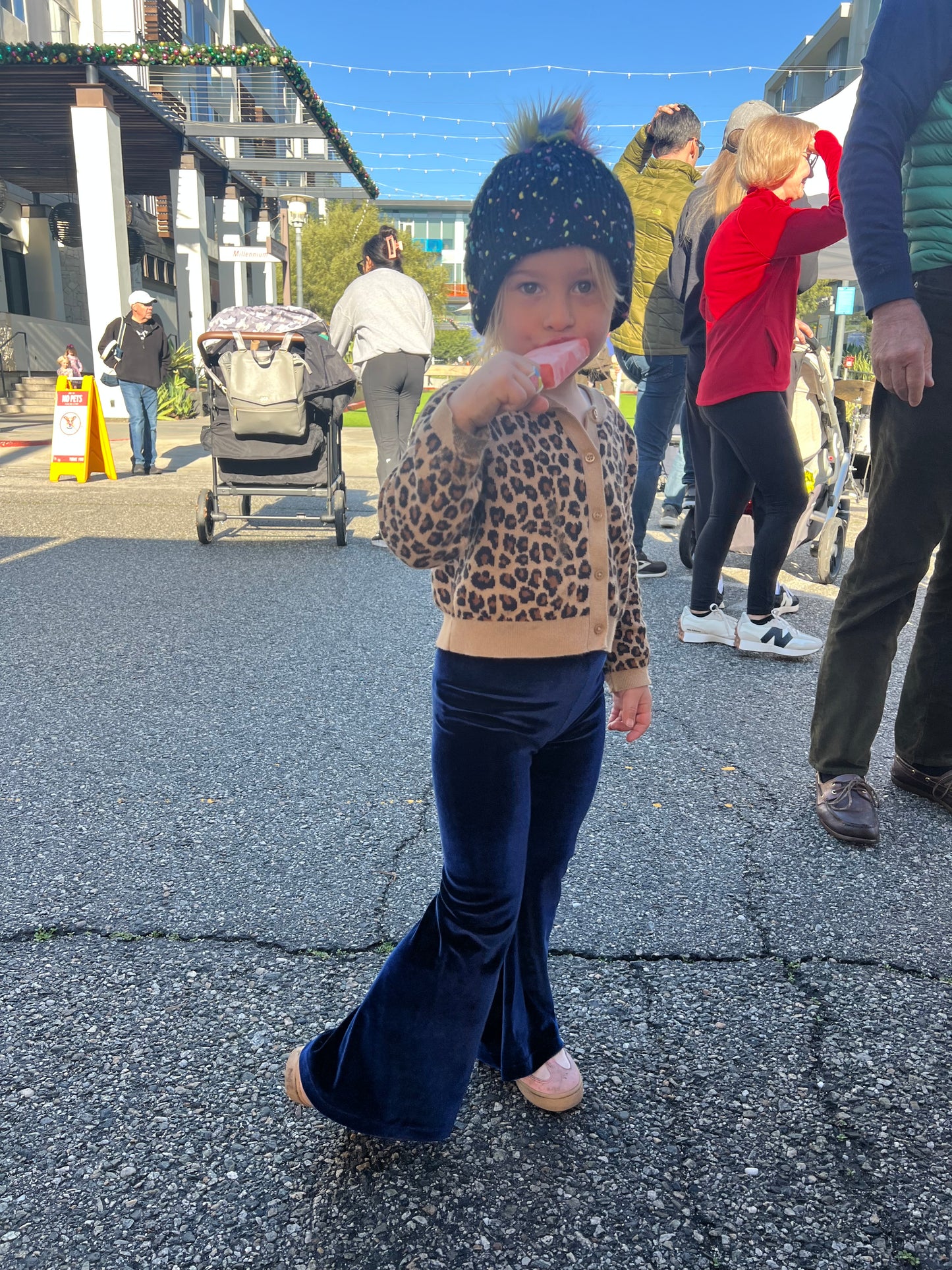 Velvet Flared Pants