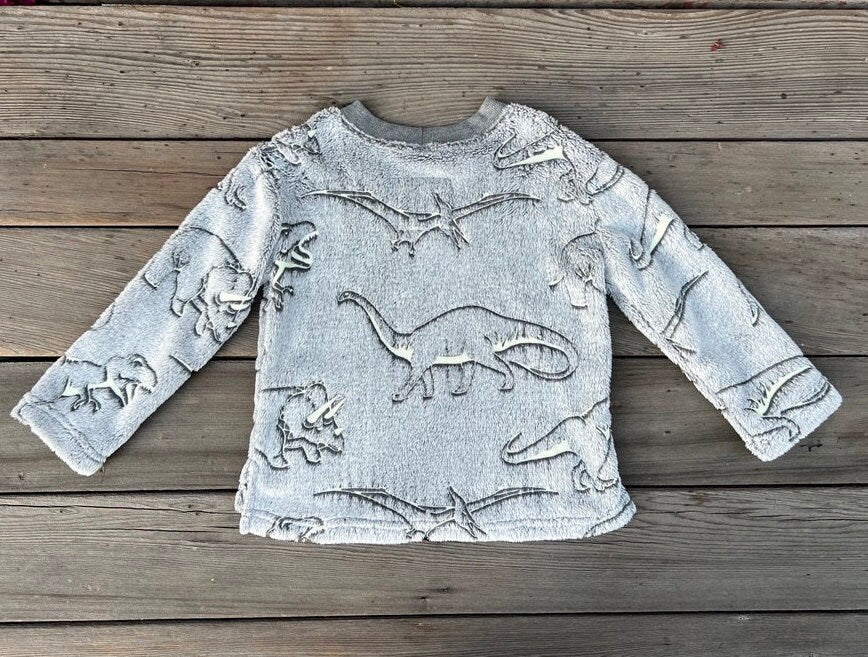Glow In the Dark Dinosaur Sweatshirt