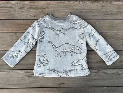 Glow In the Dark Dinosaur Sweatshirt