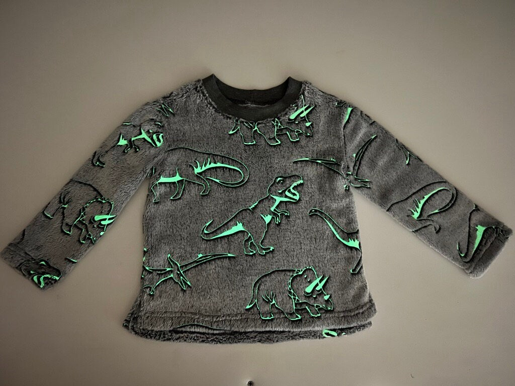 Glow In the Dark Dinosaur Sweatshirt